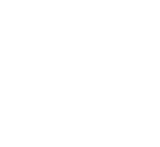 Logo Didi Sign - Ihr Spezialist für Beschriftungsdesign und Werbetechnik Schladming